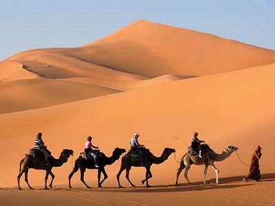 A desert caravan A desert caravan